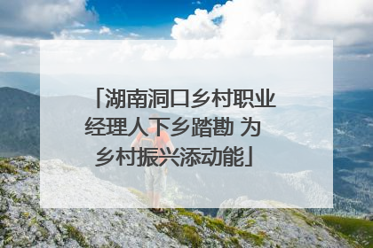 湖南洞口乡村职业经理人下乡踏勘 为乡村振兴添动能