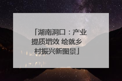 湖南洞口：产业提质增效 绘就乡村振兴新图景