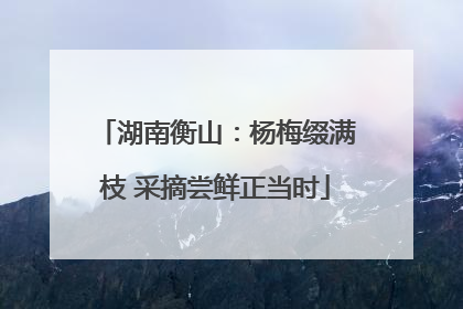 湖南衡山：杨梅缀满枝 采摘尝鲜正当时