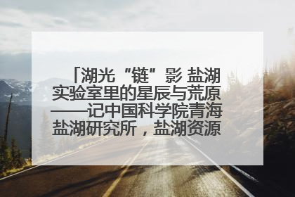 湖光“链”影 盐湖实验室里的星辰与荒原——记中国科学院青海盐湖研究所，盐湖资源化学实验室党总支书记、副主任刘忠