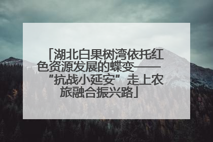 湖北白果树湾依托红色资源发展的蝶变——“抗战小延安”走上农旅融合振兴路