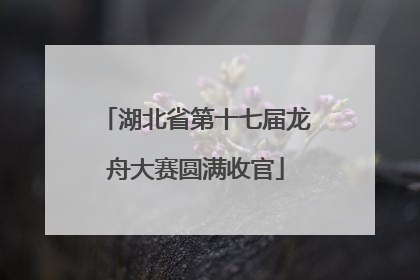 湖北省第十七届龙舟大赛圆满收官