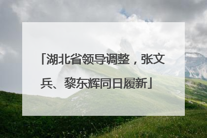 湖北省领导调整，张文兵、黎东辉同日履新