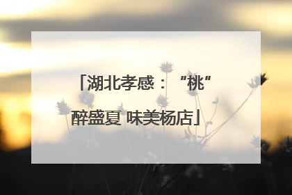 湖北孝感：“桃”醉盛夏 味美杨店