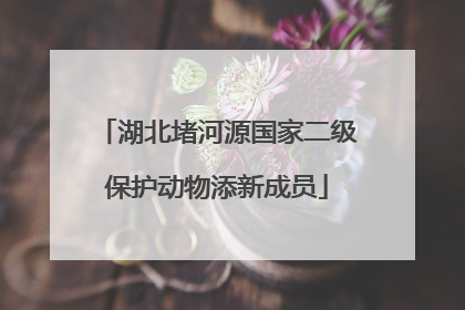 湖北堵河源国家二级保护动物添新成员