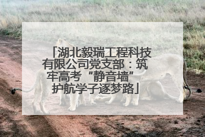 湖北毅瑞工程科技有限公司党支部：筑牢高考“静音墙” 护航学子逐梦路