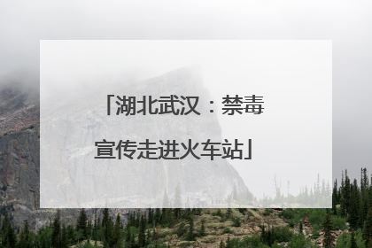 湖北武汉：禁毒宣传走进火车站