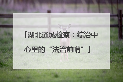 湖北通城检察：综治中心里的“法治前哨”
