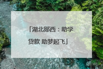 湖北郧西：助学贷款 助梦起飞