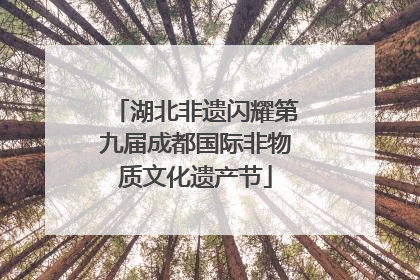 湖北非遗闪耀第九届成都国际非物质文化遗产节