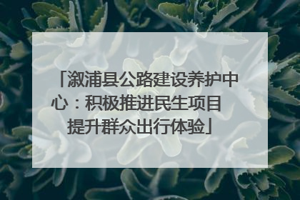 溆浦县公路建设养护中心：积极推进民生项目 提升群众出行体验