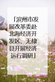 滨州市发展改革委赴北海经济开发区、无棣县开展经济运行调研