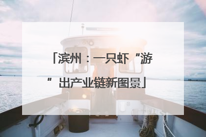 滨州：一只虾“游”出产业链新图景