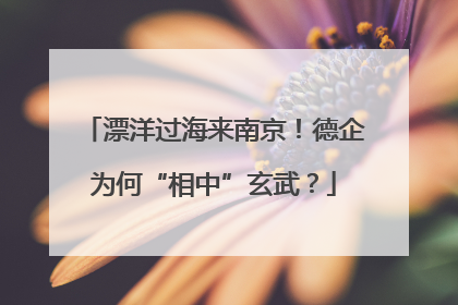 漂洋过海来南京！德企为何“相中”玄武？