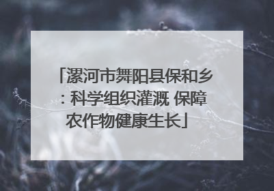 漯河市舞阳县保和乡：科学组织灌溉 保障农作物健康生长