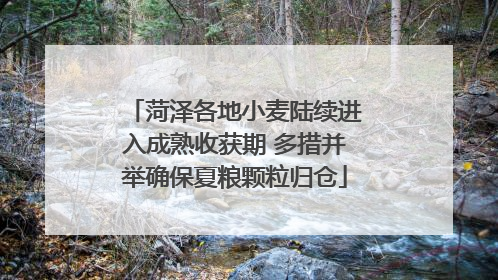 菏泽各地小麦陆续进入成熟收获期 多措并举确保夏粮颗粒归仓