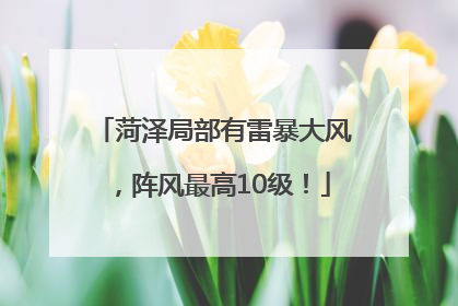 菏泽局部有雷暴大风，阵风最高10级！