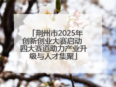 荆州市2025年创新创业大赛启动 四大赛道助力产业升级与人才集聚