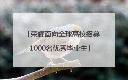 荣耀面向全球高校招募1000名优秀毕业生