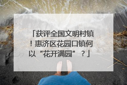 获评全国文明村镇！惠济区花园口镇何以“花开满园”？