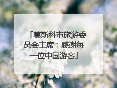 莫斯科市旅游委员会主席：感谢每一位中国游客