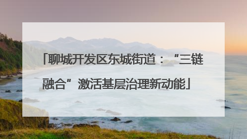 聊城开发区东城街道：“三链融合”激活基层治理新动能