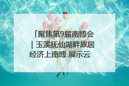 聚焦第9届南博会｜玉溪抚仙湖畔旅居经济上南博 展示云南生活新样本