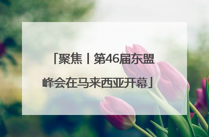 聚焦丨第46届东盟峰会在马来西亚开幕