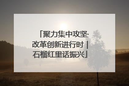 聚力集中攻坚·改革创新进行时｜石榴红里话振兴