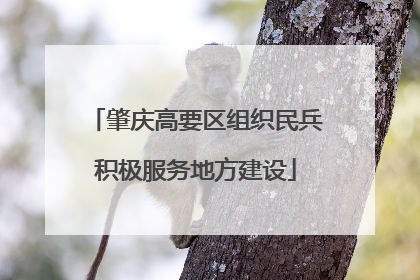 肇庆高要区组织民兵积极服务地方建设