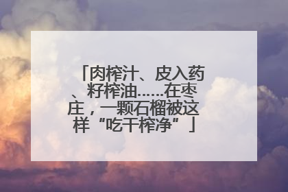 肉榨汁、皮入药、籽榨油……在枣庄，一颗石榴被这样“吃干榨净”