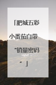 肥城五彩小番茄自带“销量密码”