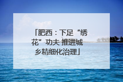 肥西：下足“绣花”功夫 推进城乡精细化治理
