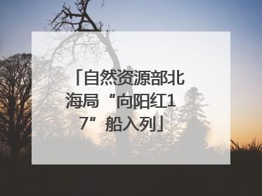 自然资源部北海局“向阳红17”船入列