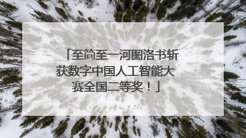 至简至一河图洛书斩获数字中国人工智能大赛全国二等奖！