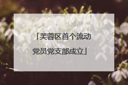 芙蓉区首个流动党员党支部成立