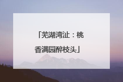 芜湖湾沚：桃香满园醉枝头