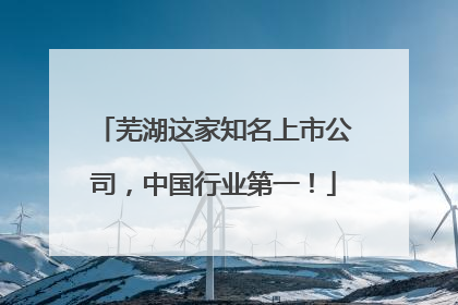 芜湖这家知名上市公司，中国行业第一！