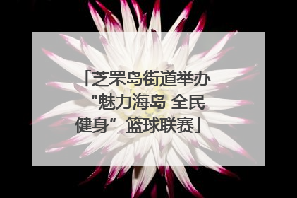 芝罘岛街道举办“魅力海岛 全民健身”篮球联赛