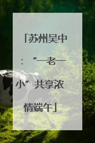 苏州吴中：“一老一小”共享浓情端午