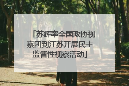 苏辉率全国政协视察团到江苏开展民主监督性视察活动