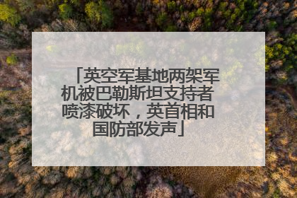 英空军基地两架军机被巴勒斯坦支持者喷漆破坏，英首相和国防部发声