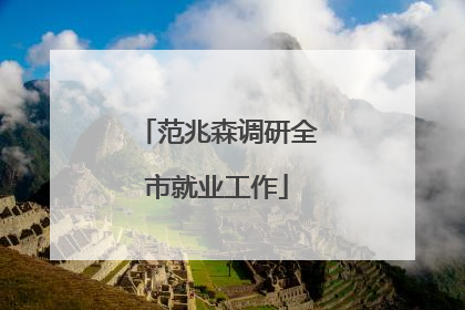 范兆森调研全市就业工作