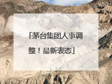 茅台集团人事调整！最新表态