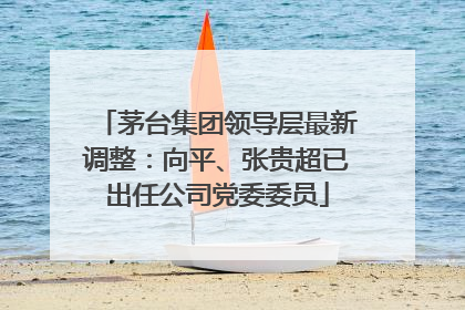 茅台集团领导层最新调整：向平、张贵超已出任公司党委委员