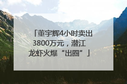 董宇辉4小时卖出3800万元，潜江龙虾火爆“出圈”