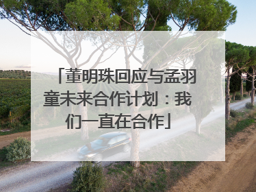 董明珠回应与孟羽童未来合作计划：我们一直在合作