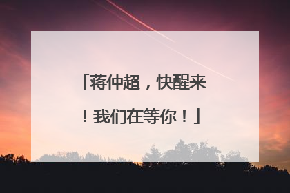 蒋仲超，快醒来！我们在等你！
