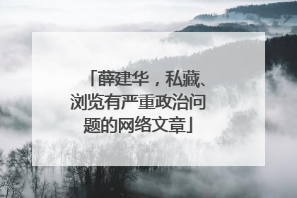 薛建华，私藏、浏览有严重政治问题的网络文章