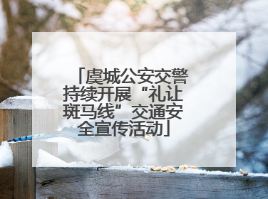虞城公安交警持续开展“礼让斑马线”交通安全宣传活动